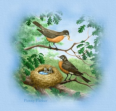 Robins